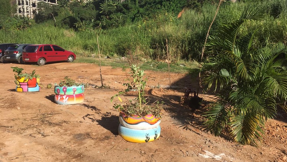 Pequeno jardim foi criado por estudantes em uma área estava virando lixão; espaço foi batizado com o nome de Moa do Katendê — Foto: Valma Silva / G1 BA